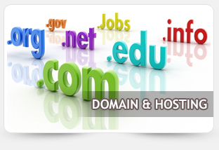 Domain & Hosting Solutions